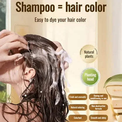 Japanese Long Lasting Natural Hair Dye Shampoo (Limited Time Offer )