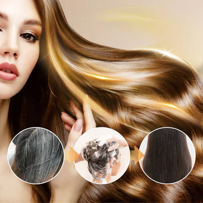 Japanese Long Lasting Natural Hair Dye Shampoo (Limited Time Offer )