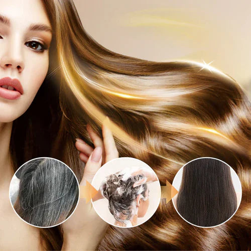 Japanese Long Lasting Natural Hair Dye Shampoo (Limited Time Offer )